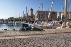 Savona