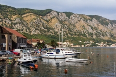 Kotor