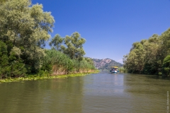Skadar lake