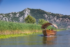 Skadar lake