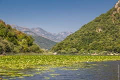 Skadar lake