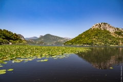 Skadar lake