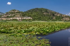 Skadar lake