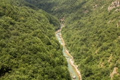 Tara river