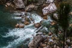 Tara river