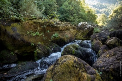 Obodski Mlinovi / Obod mills