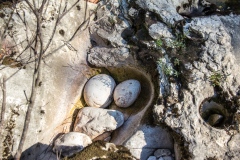 Obodski Mlinovi / Obod mills