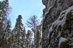 IMG_1354_v1