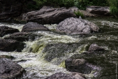 IMG_7525