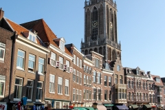 IMG_0290