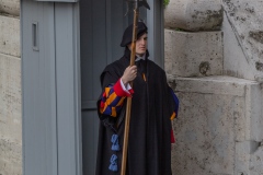 Vatican Guard
