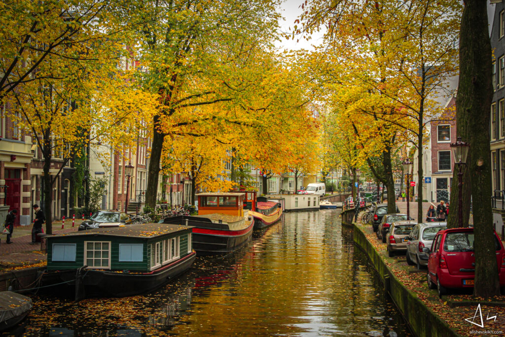 Amsterdam Fall
