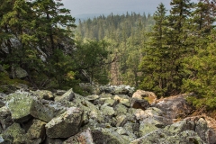 Moskal ridge