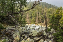 Moskal ridge