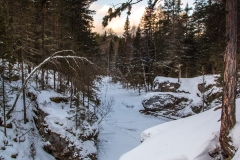Tyuluk